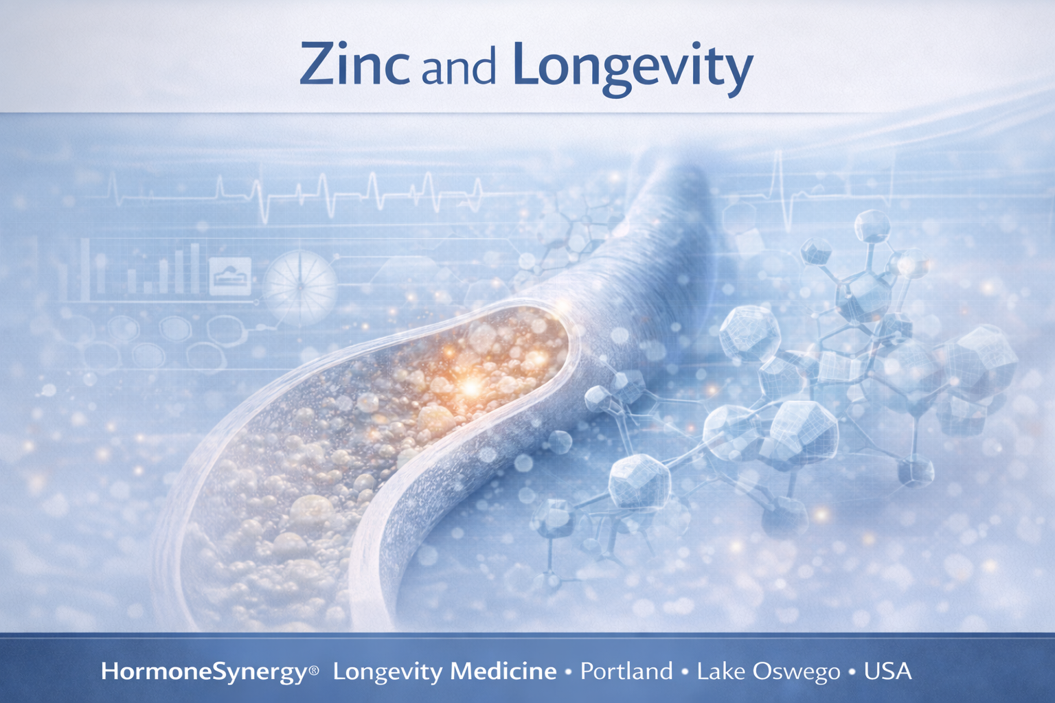 Zinc and longevity clinical illustration showing vascular and cellular environment with metabolic and immune system support in longevity medicine