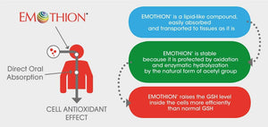 S-Acetyl Glutathione - Advanced Antioxidant Support