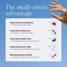 Load image into Gallery viewer, Pendulum® Metabolic Daily | 5-Strain Probiotic with Live Akkermansia