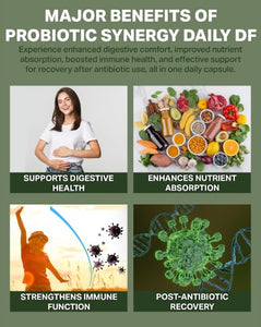 Probiotic Synergy Daily DF - 30 Billion CFU with HOWARU® B420